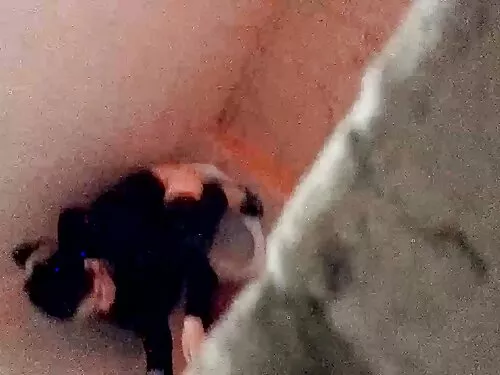 உங்கள் கையால் உச்சக் ...