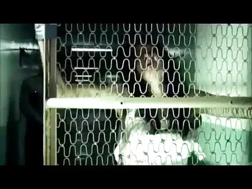 விகாரமான பயிற்சி. xx ...